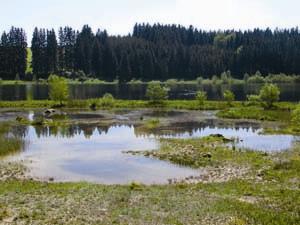 water_environment_dams